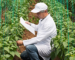 Agricultural_Processing_03